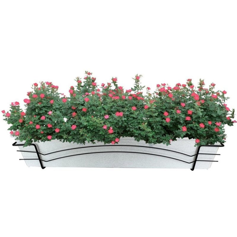 Кустарники ПГН