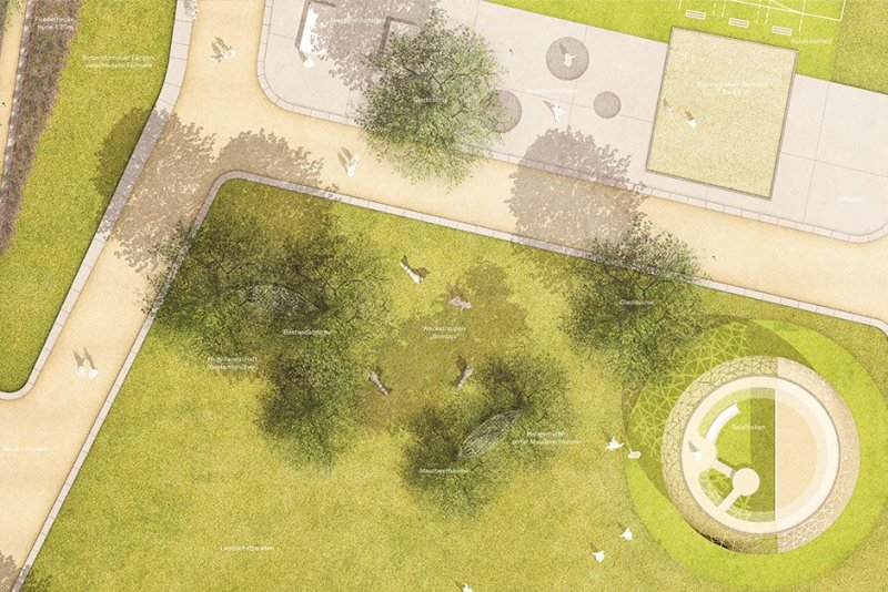 Растения для генплана