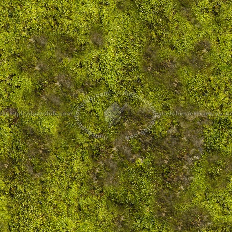 Мох текстура