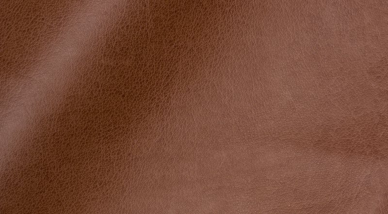 Коричневая кожа