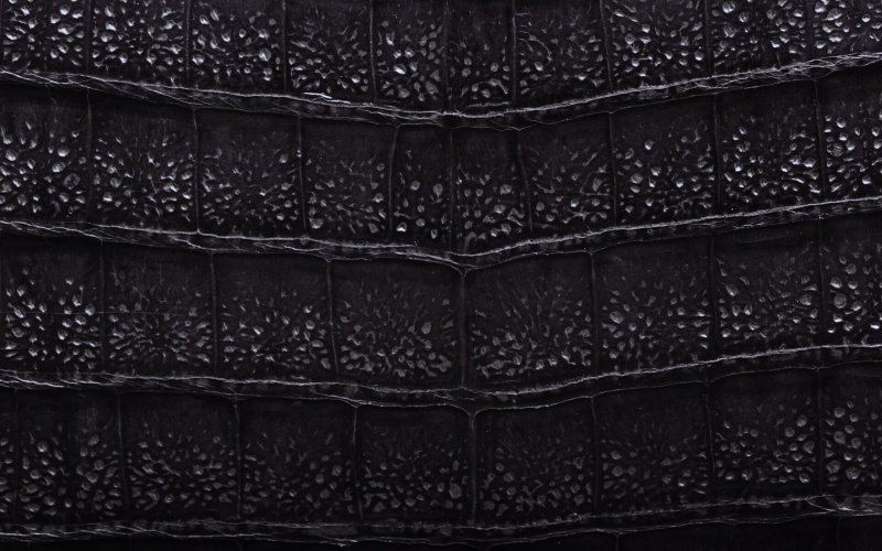Кожа крокодила черная