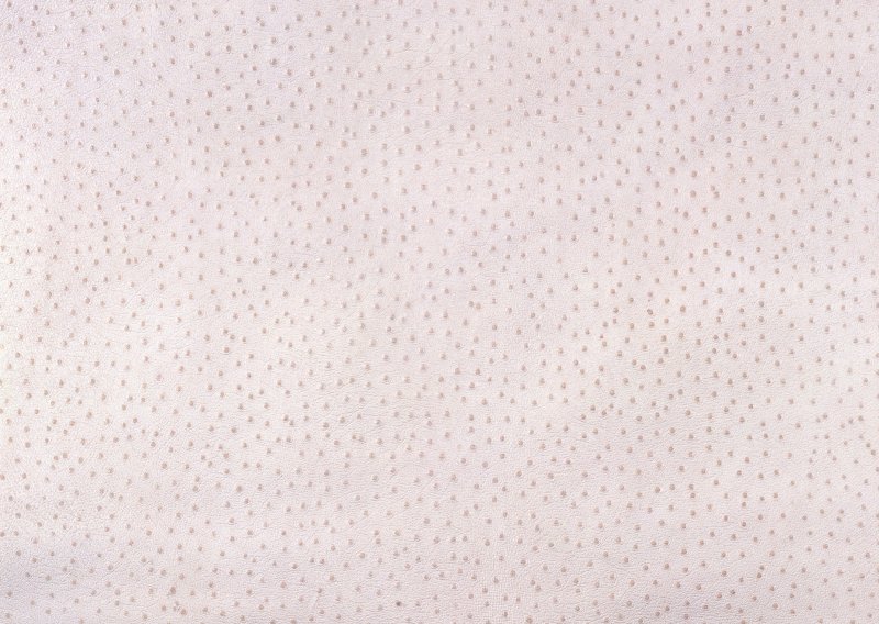 Текстура кожи