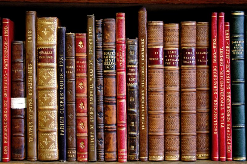 Книги на полке