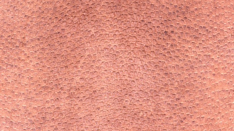 Текстура кожи