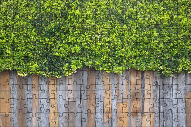 Деревянная стена