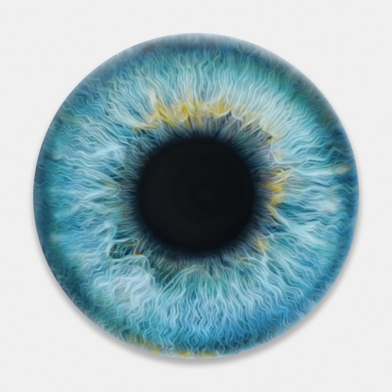 Ирис Радужная оболочка глаза