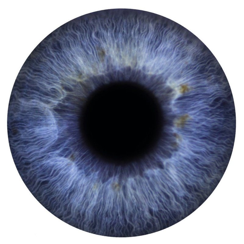 Зрачок глаза