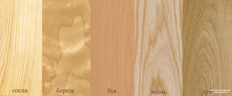 Дуб бук лиственница сосна