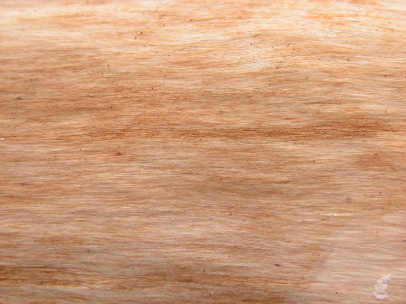 Текстура дерева