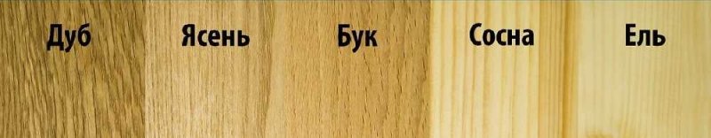 Дуб бук ясень