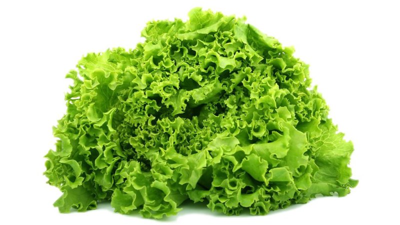 Салат Лолло Бионда          1шт