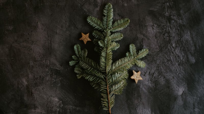 Еловые ветки фон