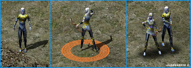 Сакред 1 темный Эльф