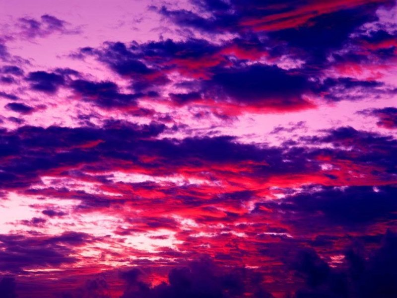 Розовое небо