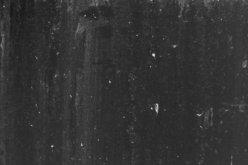 Скан пленочного зерна Ilford Delta 400pr