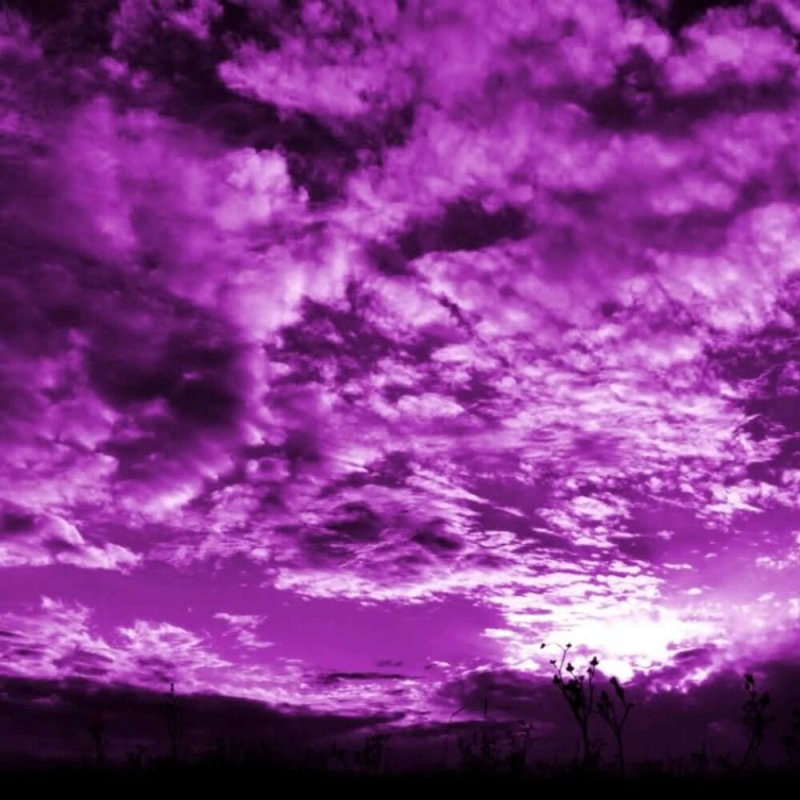 Фиолетовое небо