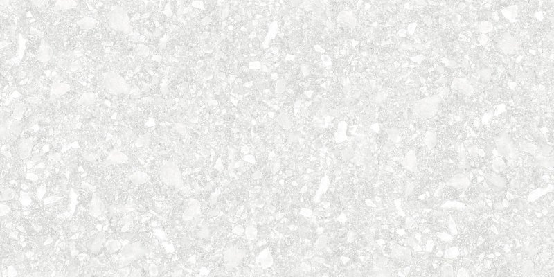 Delacora Turin Light 60x120