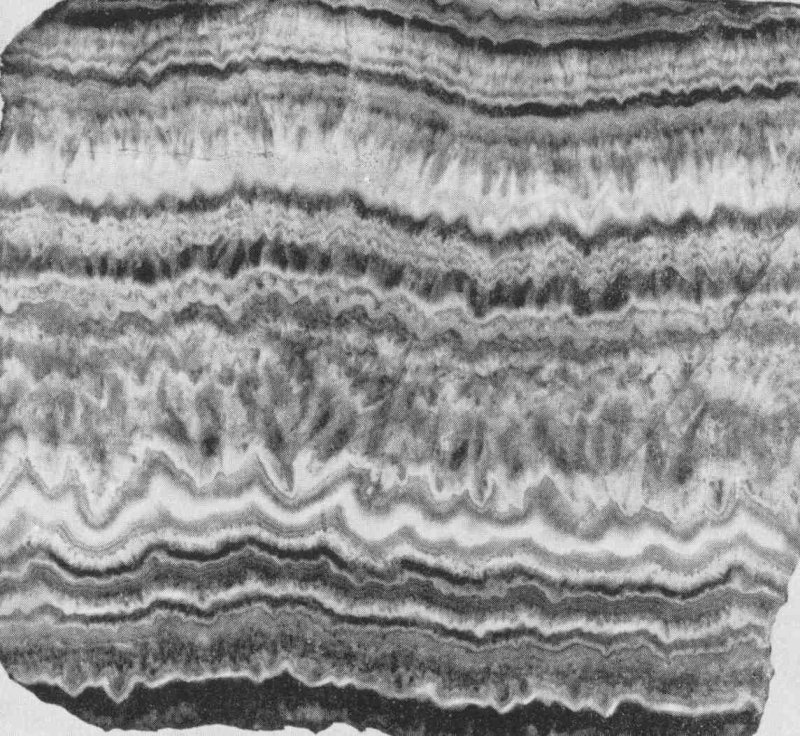 Полосчатая текстура