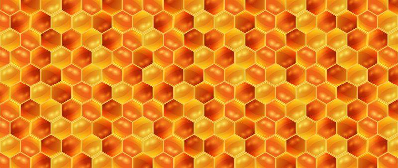 Соты пчелиные