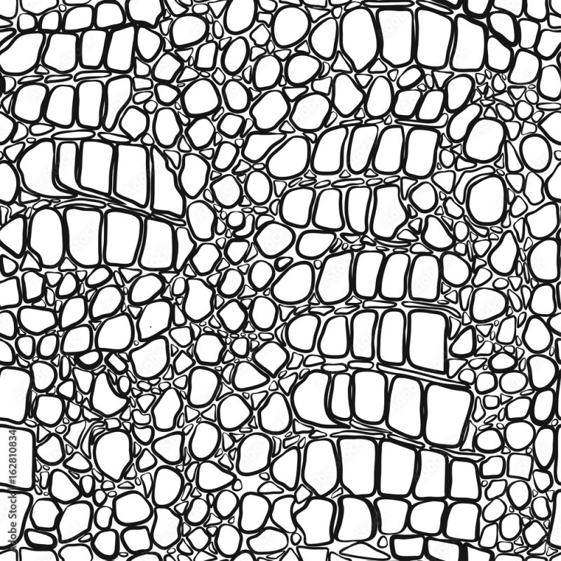 Кожа крокодила вектор