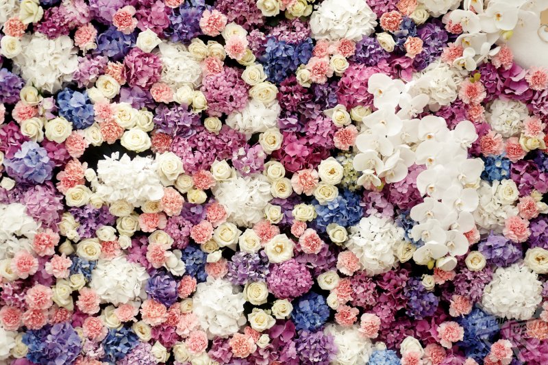 Цветочный фон