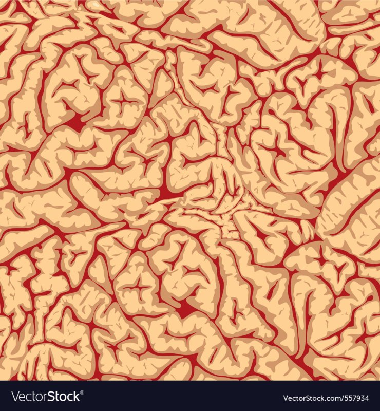 Паттерн мозг