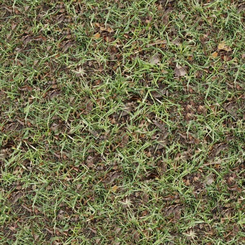 Грунт с травой текстура