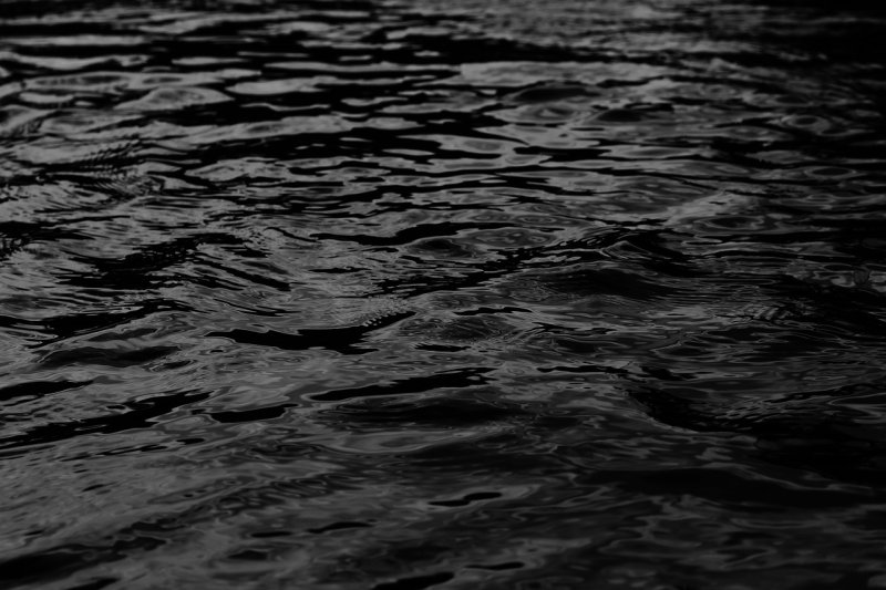 Черная вода