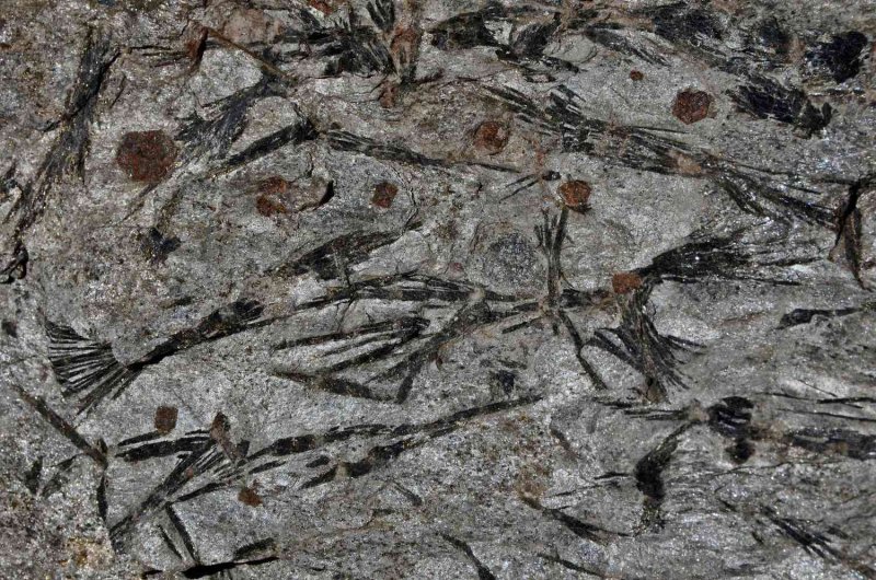 Пегматитовый гранит