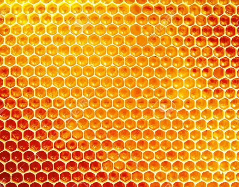 Соты пчелиные