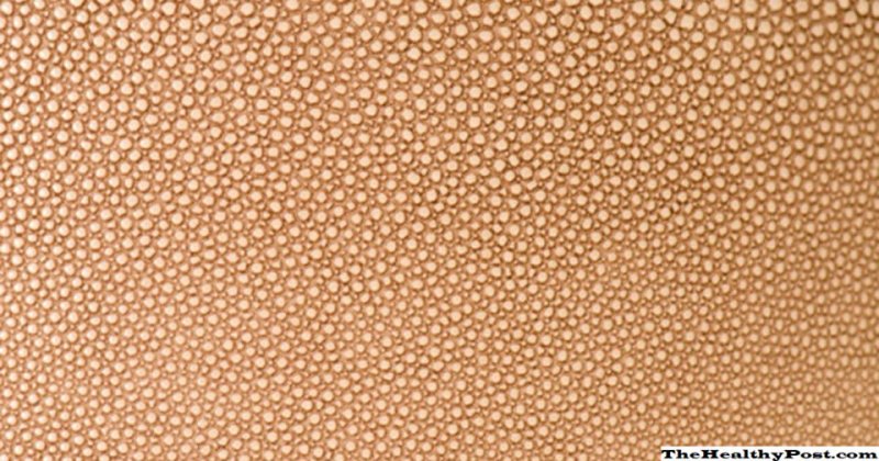 Текстура кожи курицы