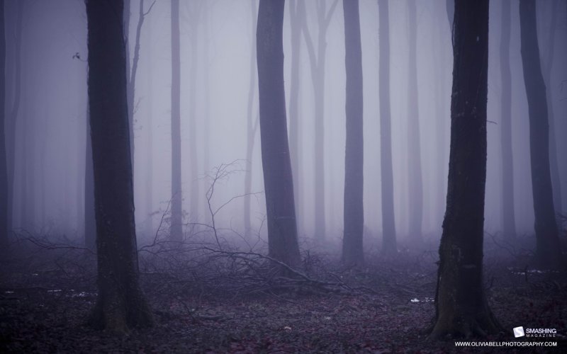 Страшный лес