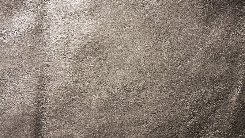 Кость текстура