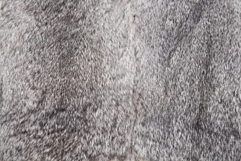 Шерсть зайца