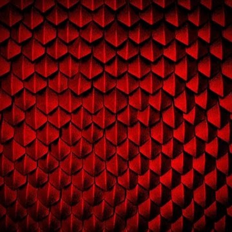 Красная чешуя дракона