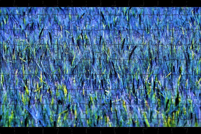 Синяя трава