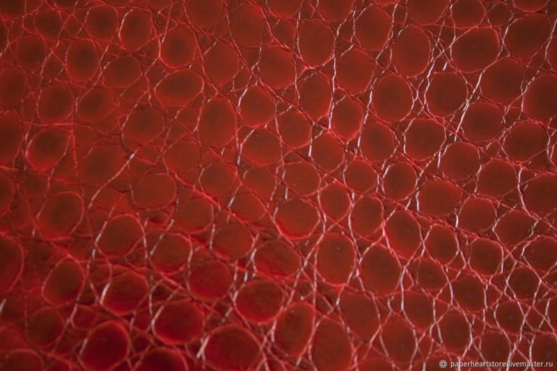 Змеиная кожа