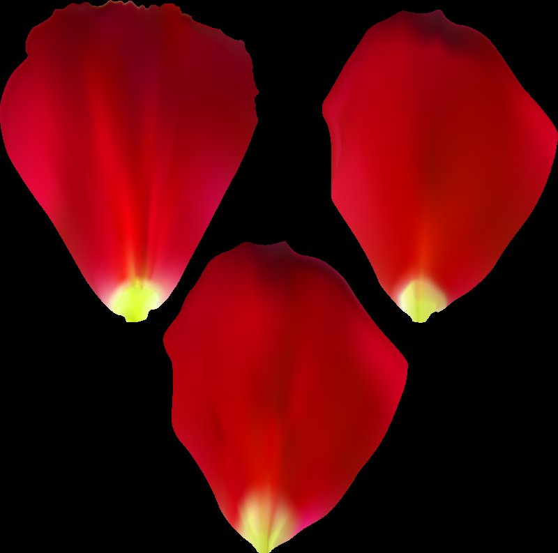 Лепесточки для цветов