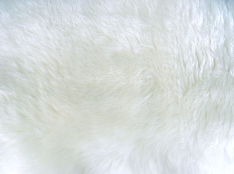 Белый мех