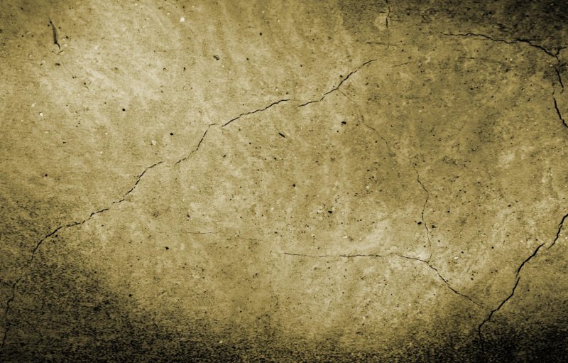 Кость текстура