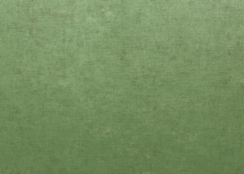 Оливковый цвет ткани