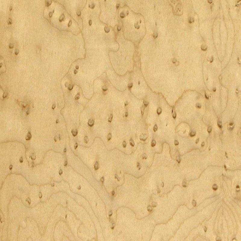 Birdseye Maple