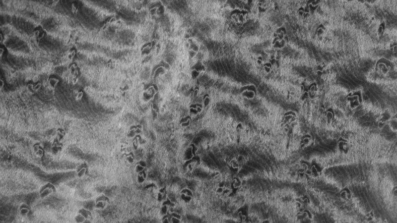 Шпон клен птичий глаз