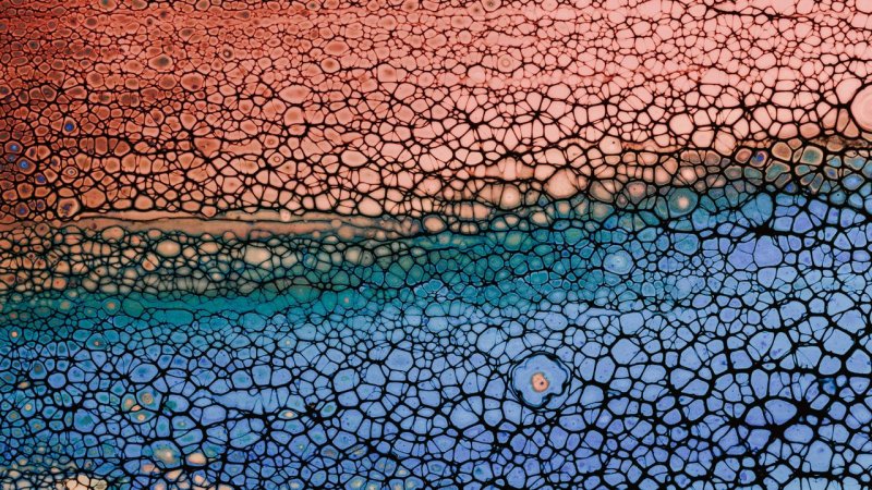 Необычная фактура