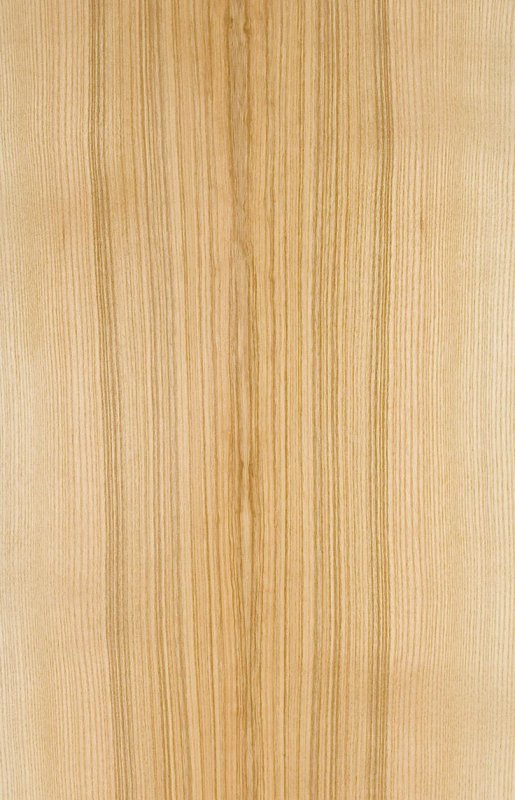 Олива дерево текстура