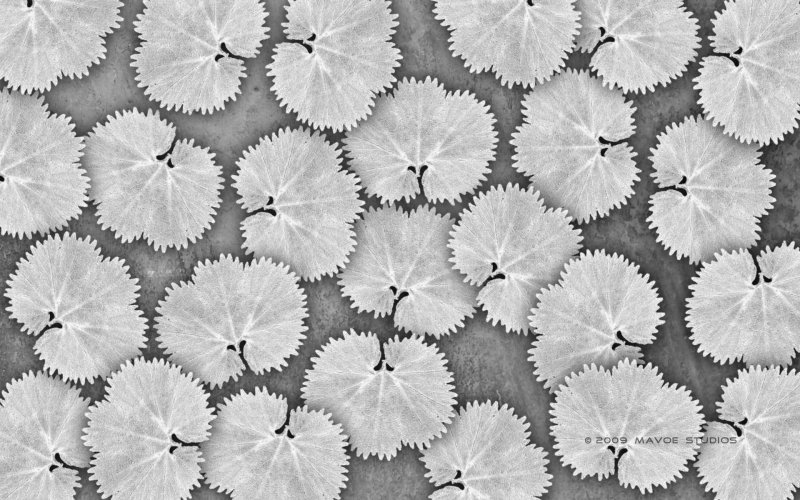 Текстура листа