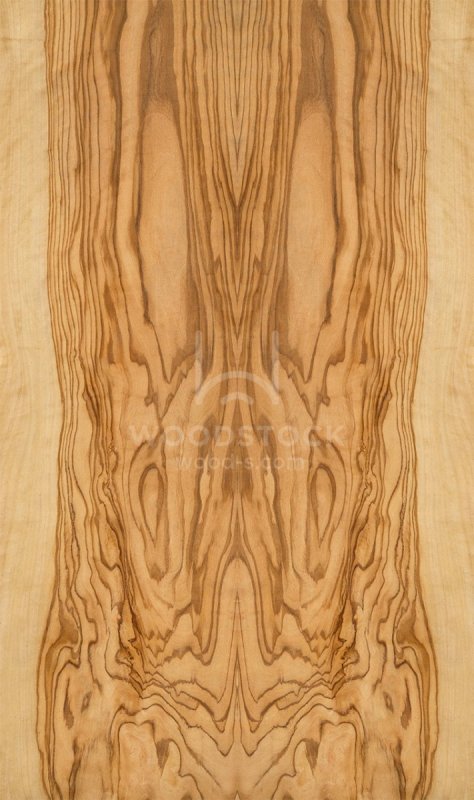 Шпон ясень олива