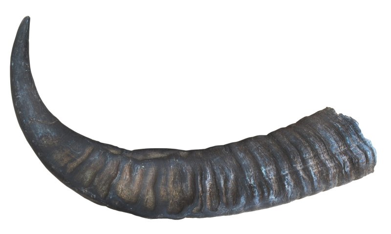 Рога на прозрачном фоне