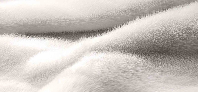 Шиншилла искусственный мех кэмел