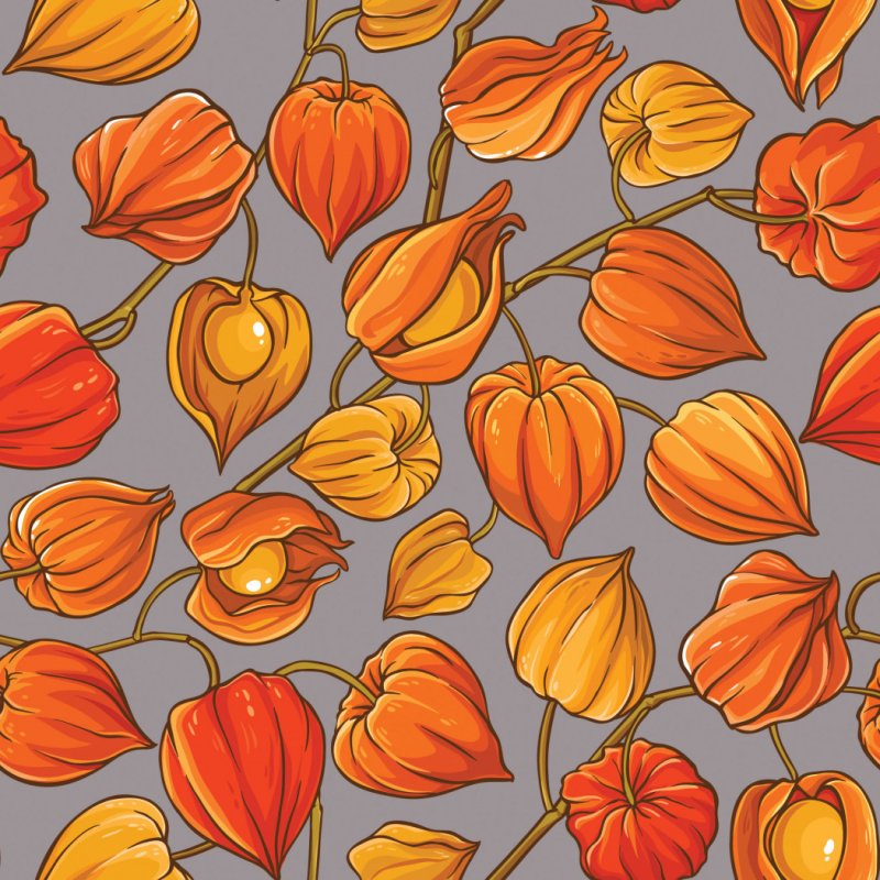 Физалис оранжевый